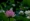 L版写真10,000枚を並べて作ったモザイクアート