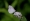 L版写真10,000枚を並べて作ったモザイクアート