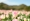 L版写真10,000枚を並べて作ったモザイクアート
