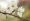 L版写真10,000枚を並べて作ったモザイクアート