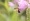 L版写真10,000枚を並べて作ったモザイクアート