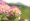 L版写真10,000枚を並べて作ったモザイクアート