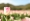 L版写真10,000枚を並べて作ったモザイクアート
