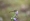 L版写真10,000枚を並べて作ったモザイクアート