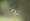 L版写真10,000枚を並べて作ったモザイクアート