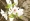L版写真10,000枚を並べて作ったモザイクアート