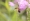 L版写真10,000枚を並べて作ったモザイクアート