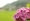 L版写真10,000枚を並べて作ったモザイクアート