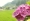 L版写真10,000枚を並べて作ったモザイクアート