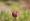 L版写真10,000枚を並べて作ったモザイクアート
