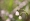 L版写真10,000枚を並べて作ったモザイクアート