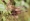 L版写真10,000枚を並べて作ったモザイクアート