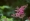 L版写真10,000枚を並べて作ったモザイクアート