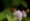 L版写真10,000枚を並べて作ったモザイクアート
