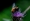L版写真10,000枚を並べて作ったモザイクアート