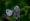 L版写真10,000枚を並べて作ったモザイクアート