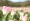 L版写真10,000枚を並べて作ったモザイクアート