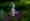 L版写真10,000枚を並べて作ったモザイクアート