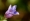 L版写真10,000枚を並べて作ったモザイクアート
