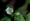 L版写真10,000枚を並べて作ったモザイクアート